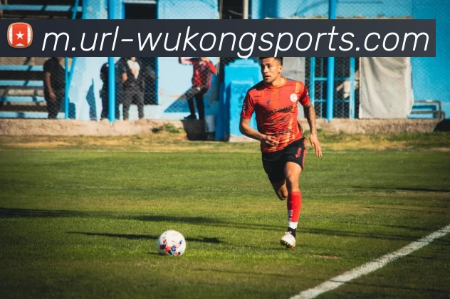 悟空体育平台生态图