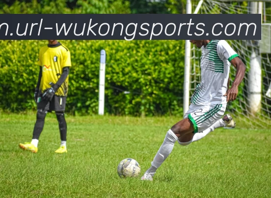 悟空体育全站App